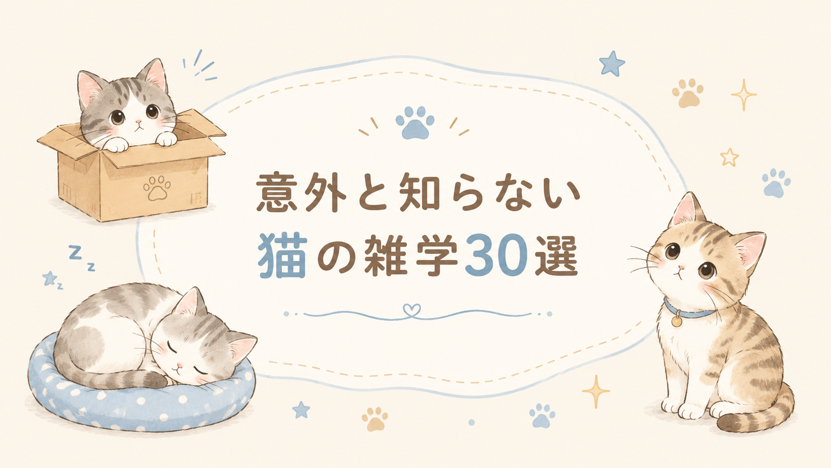 意外と知らない猫の雑学30選｜寝る理由・箱が好きな理由・人との不思議な関係